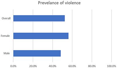 Violence against healthcare workers during the COVID-19 pandemic: a cross-sectional survey at Cairo University Hospital